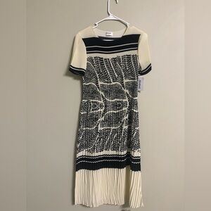 Kindred Anthropologie Pleated Dress Size Medium Cream Black Modern Texture New